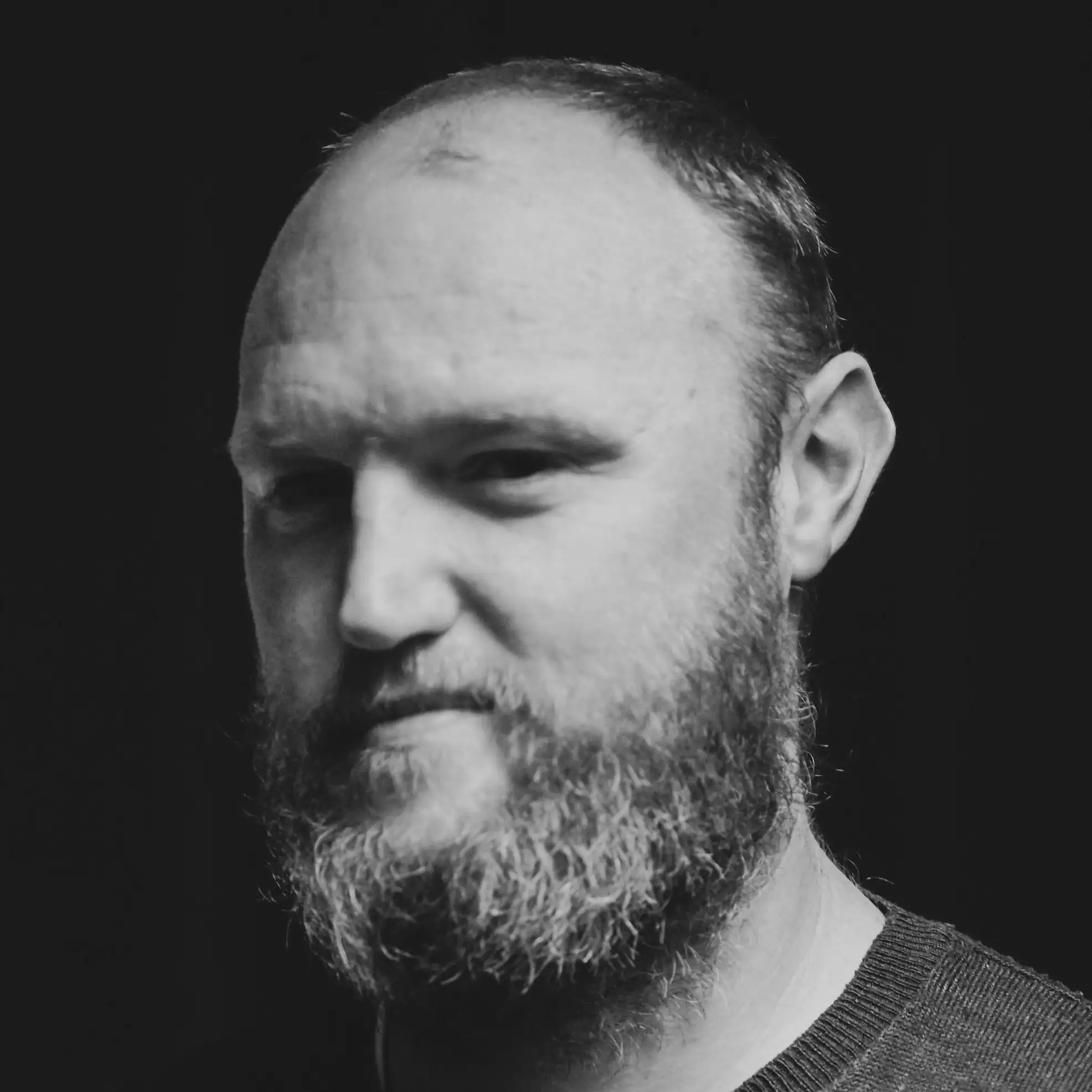 استیون شیلدز