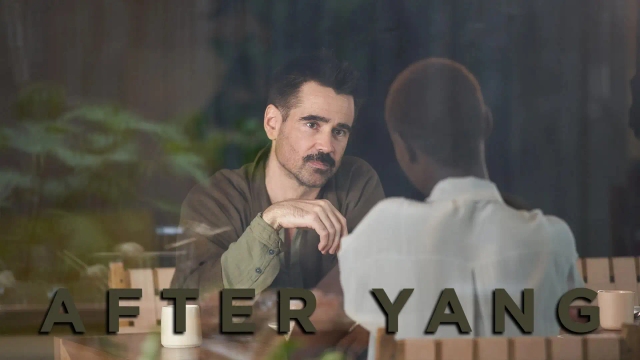 بعد از یانگ